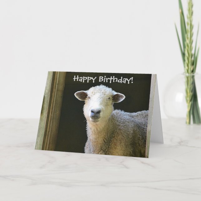 Grattis på födelsedagen får kort (Framsida)