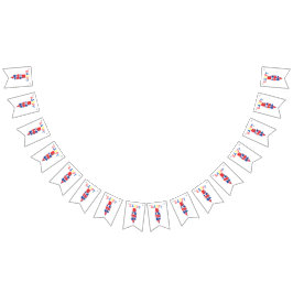 Grattis på födelsedagen Färg Remix Bunting Banner Vimplar