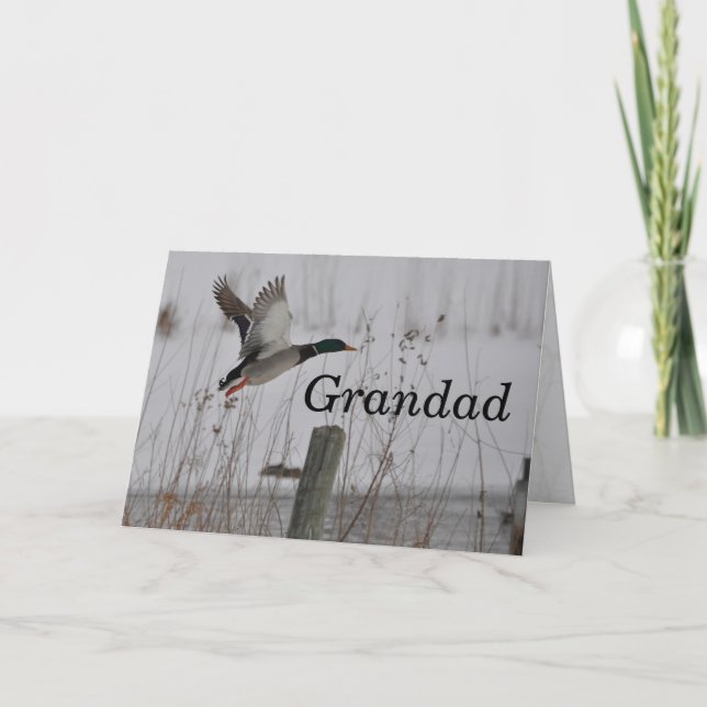 Grattis på födelsedagen-farokort av Janz Kort (Framsida)