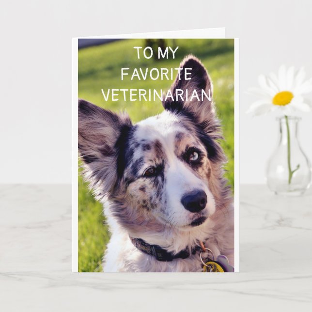 GRATTIS PÅ FÖDELSEDAGEN **FAVORITVETERINÄR** KORT (Liten växt)