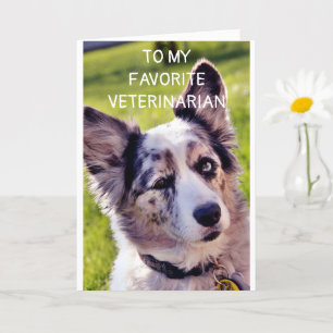 GRATTIS PÅ FÖDELSEDAGEN **FAVORITVETERINÄR** KORT