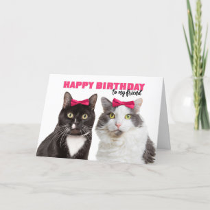 Grattis på födelsedagen Female Friend Cute Cats i Helgkort