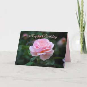 Grattis på födelsedagen fet Rosa ros Kort