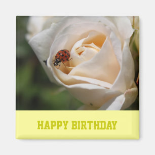 Grattis på födelsedagen. Fisk blomma från vit ros Magnet