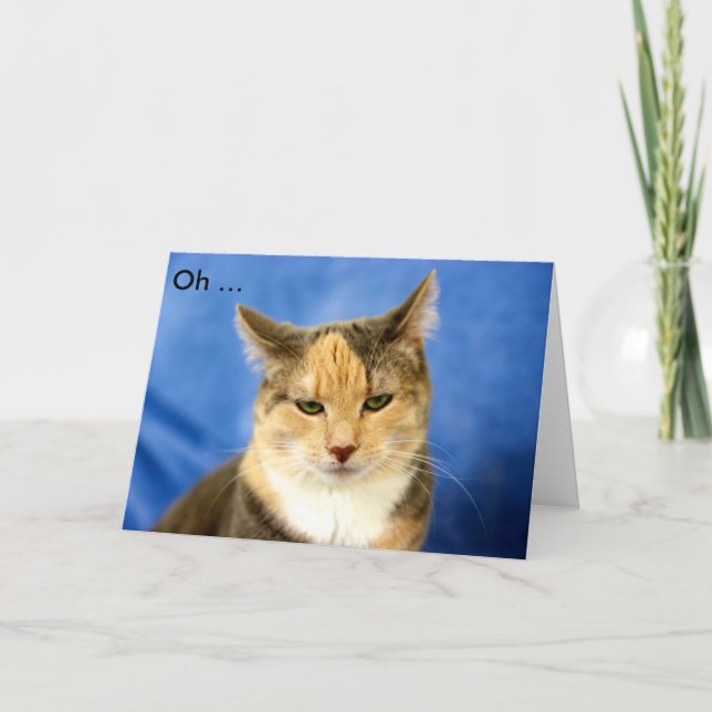 Grattis på födelsedagen! Födelsedagskort med katt Kort (Framsida)