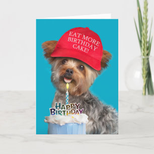 Grattis på födelsedagen for any Yorkie Hund in MAG Helgkort