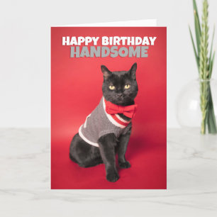 Grattis på födelsedagen för hans Cute Handsome Cat Helgkort