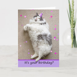Grattis på födelsedagen för någon Tjock Cat Down f Helgkort