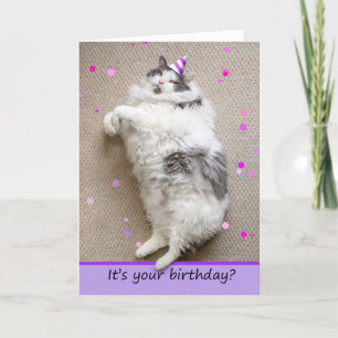 Grattis på födelsedagen för någon Tjock Cat Down f Helgkort