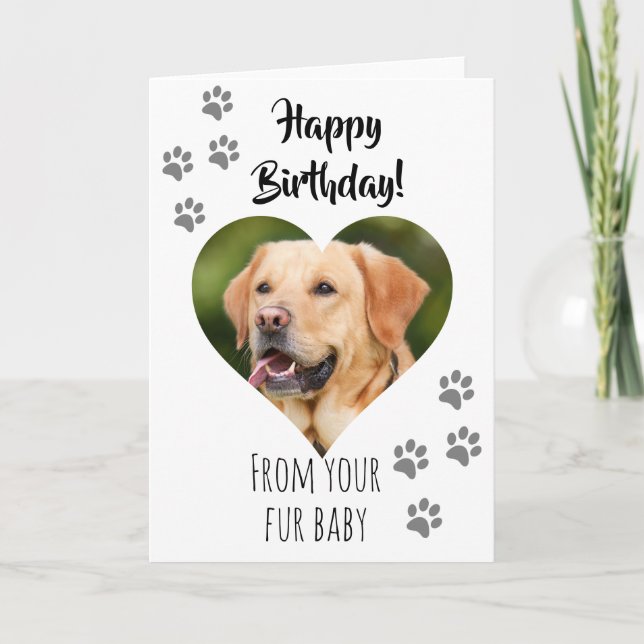 Grattis på födelsedagen Foto Hund Katt Husdjur Päl Kort (Framsida)