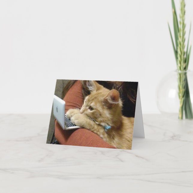 GRATTIS PÅ FÖDELSEDAGEN FRÅN A **BUSY KATTUNGE** KORT (Framsida)