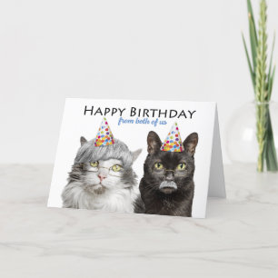 Grattis på födelsedagen från båda amerikanska Katt Helgkort