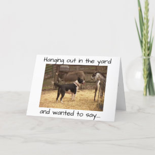 GRATTIS PÅ FÖDELSEDAGEN FRÅN BARNYARD DJUR KORT