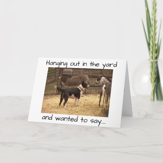 GRATTIS PÅ FÖDELSEDAGEN FRÅN BARNYARD DJUR KORT (Framsida)