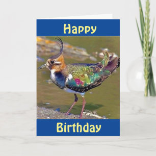 GRATTIS PÅ FÖDELSEDAGEN FRÅN "COMEDIC BIRD" KORT