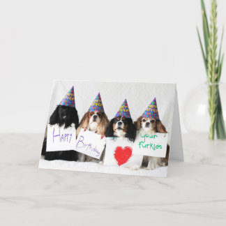 Grattis på födelsedagen från daghundcavaliersna kort