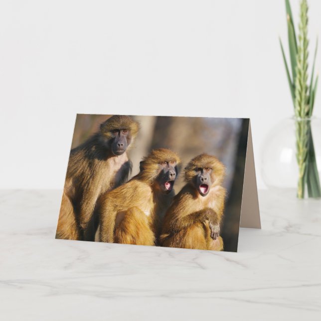 GRATTIS PÅ FÖDELSEDAGEN FRÅN DE TRE TREDJE MONKEY- KORT (Framsida)