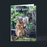 Grattis på födelsedagen från Deez Nöt Funny Squirr Kort<br><div class="desc">Grattis på födelsedagen från DEEZ NÖT! Ett superskojets ekorrespel på ord skämtar om nöt. Crude humor på en vuxens födelsedagskort. Få dina vänner att skratta med det här popkulturcitatet.</div>