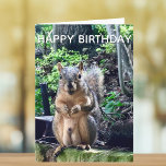 Grattis på födelsedagen från Deez Nöt Funny Squirr Kort<br><div class="desc">Grattis på födelsedagen från DEEZ NÖT! Ett superskojets ekorrespel på ord skämtar om nöt. Crude humor på en vuxens födelsedagskort. Få dina vänner att skratta med det här popkulturcitatet.</div>