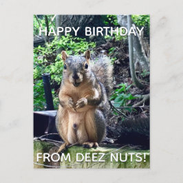 Grattis på födelsedagen från Deez Nuts Rolig Ekorr Vykort