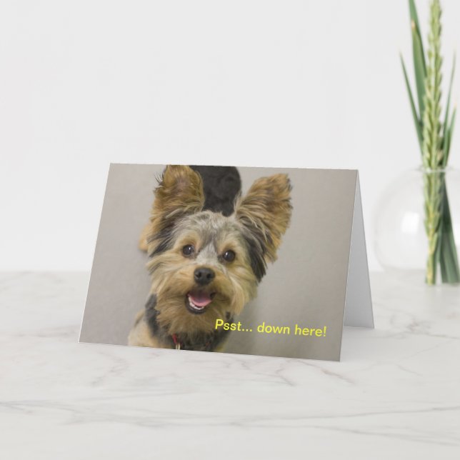 Grattis på födelsedagen från den lilla. kort (Framsida)