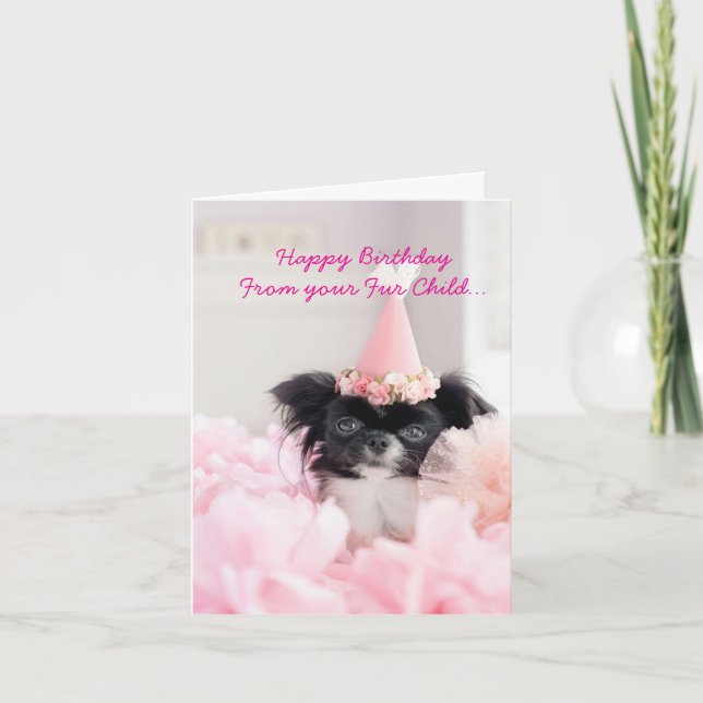 Grattis på födelsedagen från det Hund-mappade Helg (Framsida)