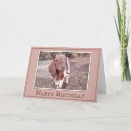 Grattis på födelsedagen - Från din favoritbarn Kort