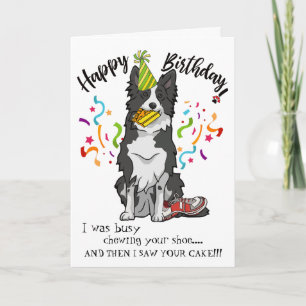 Grattis på födelsedagen från din Gräns Collie Hund Kort