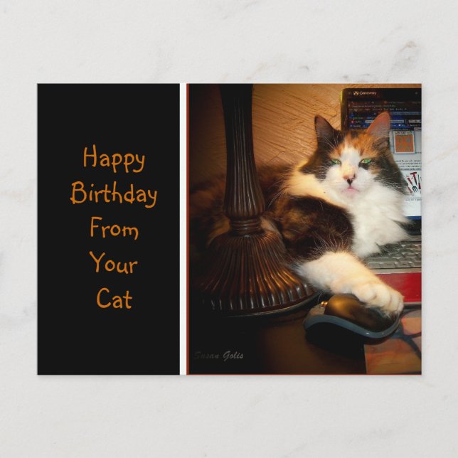Grattis på födelsedagen från din katt Greeting vyk Vykort (Framsida)