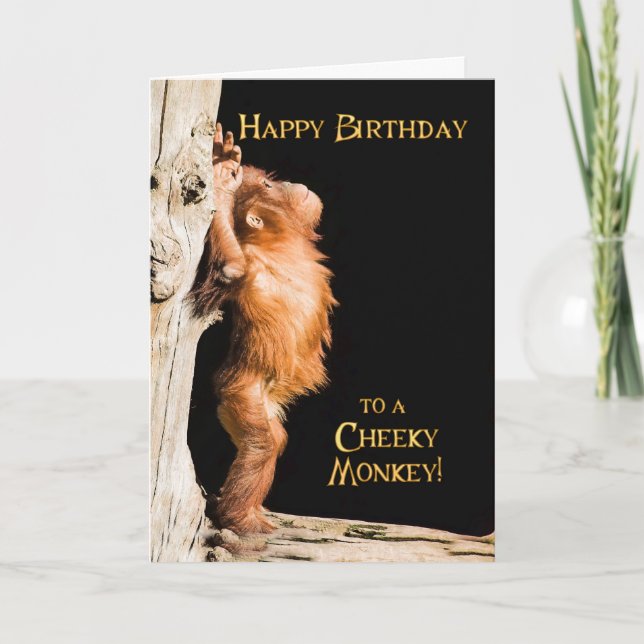Grattis på födelsedagen från en baby orang utan kort (Framsida)