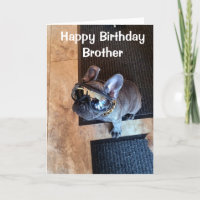 GRATTIS PÅ FÖDELSEDAGEN FRÅN EN COOLA HUND "BRODER