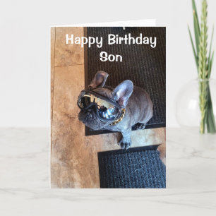 GRATTIS PÅ FÖDELSEDAGEN FRÅN EN COOLA HUND "SON" KORT