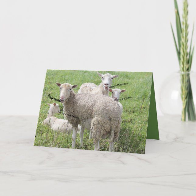 Grattis på födelsedagen från får i Grönt Fält Kort (Framsida)
