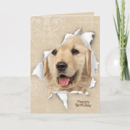 Grattis på födelsedagen från Golden Retriever Kort