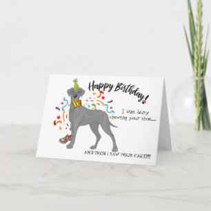 Grattis på födelsedagen från Great dane Hund Buddy Kort