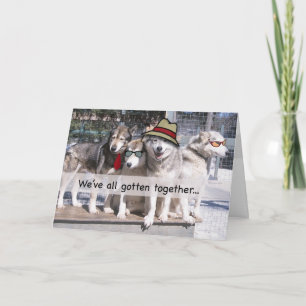 Grattis på födelsedagen från gruppen, Huskies Kort
