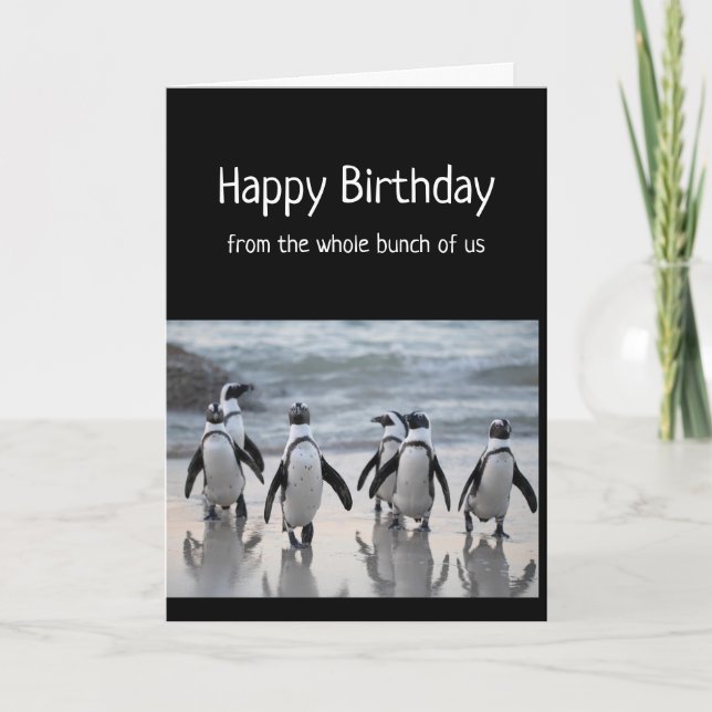 Grattis på födelsedagen från hela gruppen Penguins Kort (Framsida)