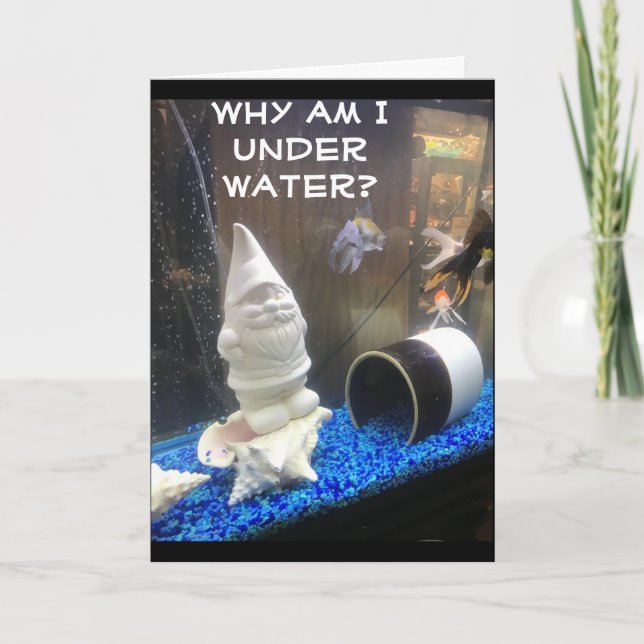 GRATTIS PÅ FÖDELSEDAGEN FRÅN HUMOROUS GNOME KORT (Framsida)