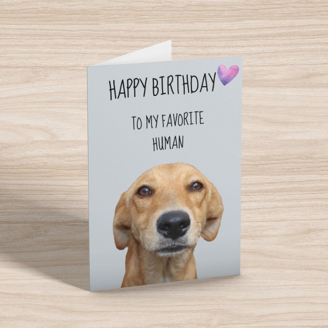 Grattis på födelsedagen från Hund för att främja m Kort (Skapare uppladdad)