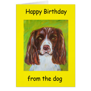 grattis på födelsedagen från hund hälsningskort