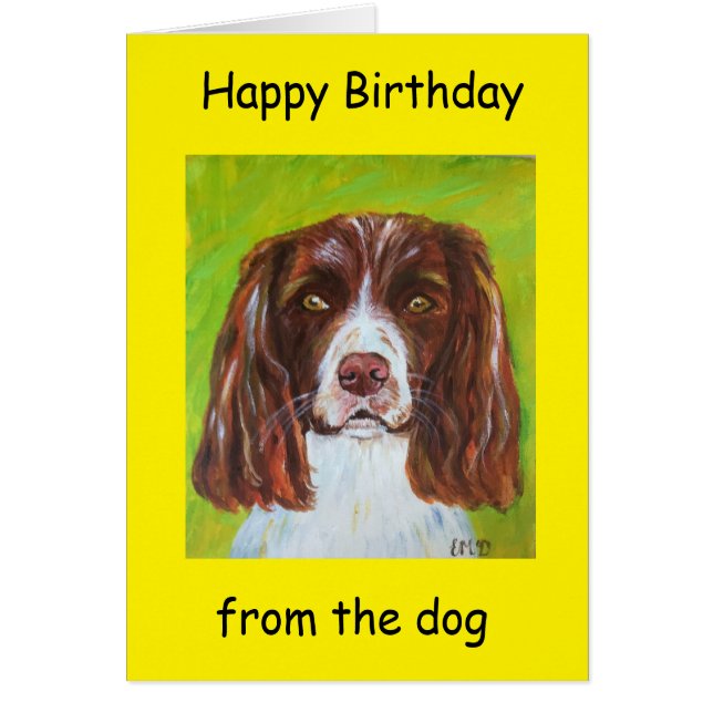 Grattis på födelsedagen från hund hälsningskort (Framsidan)