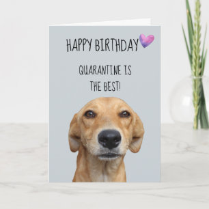 Grattis på födelsedagen från Hund karantänstatione Kort