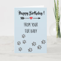 Grattis på födelsedagen från Hund Katt Husdjur Päl