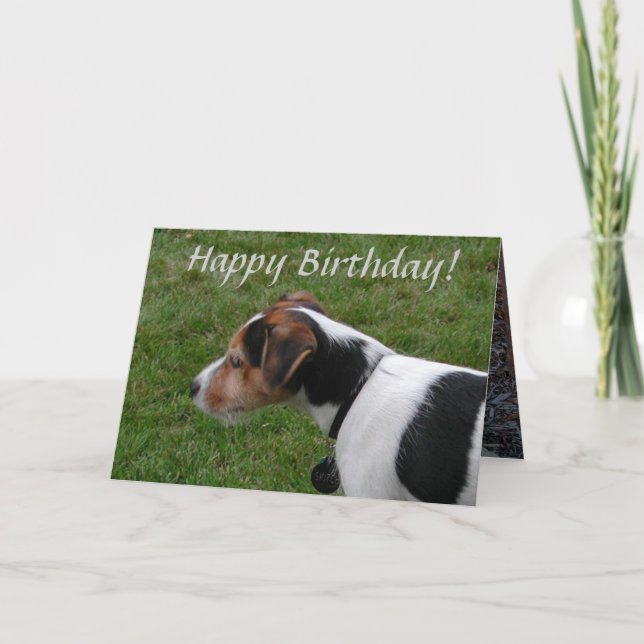 Grattis på födelsedagen från Hund Kort (Framsida)