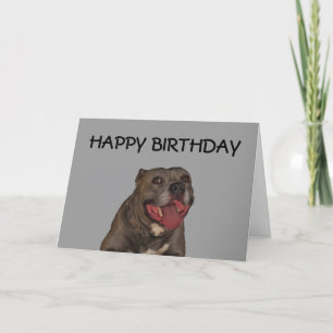 Grattis på födelsedagen från Hund Kort