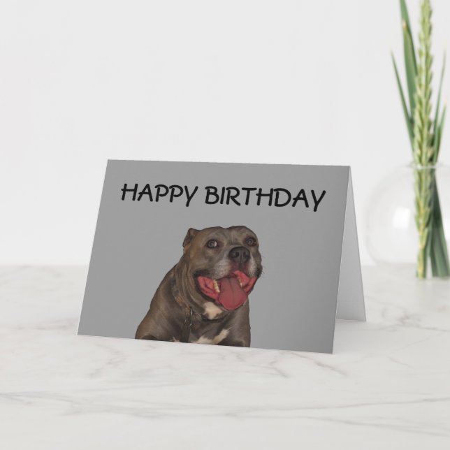 Grattis på födelsedagen från Hund Kort (Framsida)