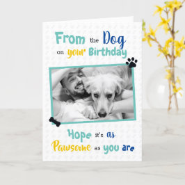 Grattis på födelsedagen från Hund Kort