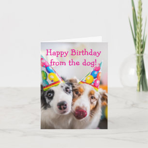 Grattis på födelsedagen från Hund Kort
