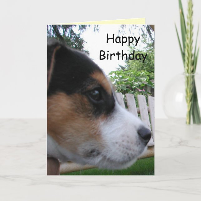 Grattis på födelsedagen från hunden! kort (Framsida)