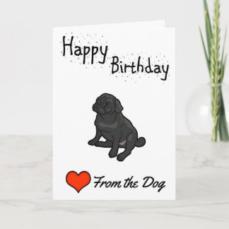 Grattis på födelsedagen från hunden kort
